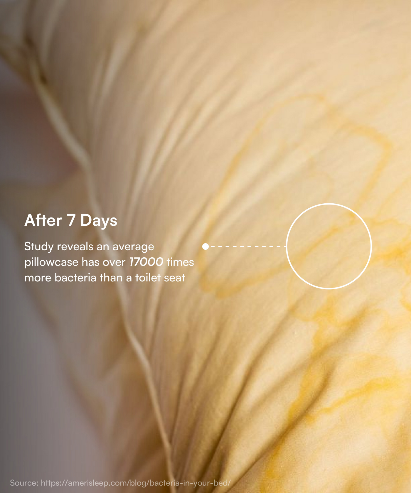 Pillowcase | Aloe Green Color  | Pack of 2