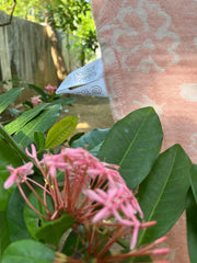 Customer photo of Banana Jacquard Floral Bath Towel | 210 GSM | 75 x 150 cm | Pack of 4