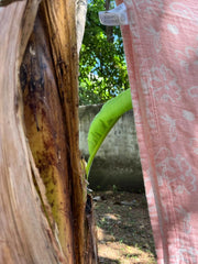 Customer photo of Banana Jacquard Floral Bath Towel | 210 GSM | 75 x 150 cm