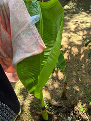 Customer photo of Banana Jacquard Floral Bath Towel | 210 GSM | 75 x 150 cm | Set of 12